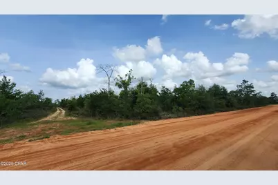 0 Petty Road #Lot 11, Marianna, FL 32448 - Photo 4