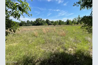 0000 Blue Springs Road, Greenwood, FL 32443 - Photo 10