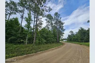 Tbd Obert Road, Cottondale, FL 32431 - Photo 4