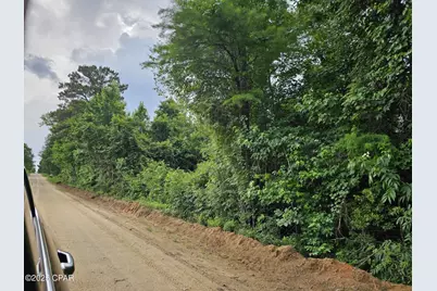 Tbd Obert Road, Cottondale, FL 32431 - Photo 2