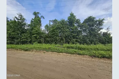 Tbd Obert Road, Cottondale, FL 32431 - Photo 2