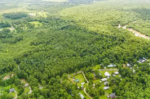 674 Bryant Landing Rd, Wewahitchka, FL 32465 - Photo 42