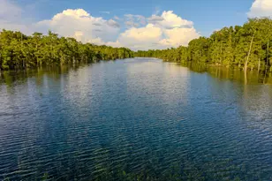 5255 Limestone Ln, Marianna, FL 32446 - Photo 50