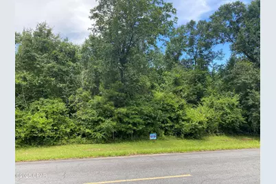 0000 N Hwy 271 Highway, Sneads, FL 32460 - Photo 2