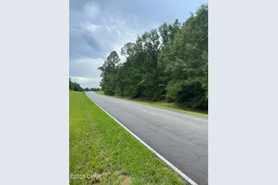 0000 N Hwy 271 Highway, Sneads, FL 32460 - Photo 4