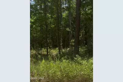 Xxx Ben Road #32428, Chipley, FL 32428 - Photo 1