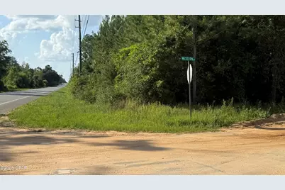 00 Sr-71, Marianna, FL 32448 - Photo 2