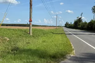 00 Sr-71, Marianna, FL 32448 - Photo 1