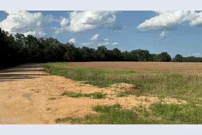 00 Sr-71, Marianna, FL 32448 - Photo 2