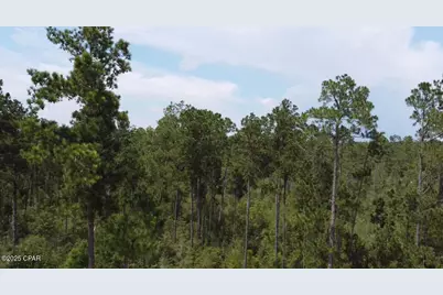 0 Black Hills Street, Alford, FL 32420 - Photo 2