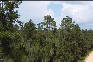 0 Black Hills St, Alford, FL 32420 - Photo 1