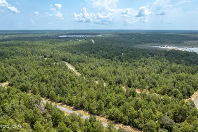 Xxx Ventura Drive, Chipley, FL 32428 - Photo 6