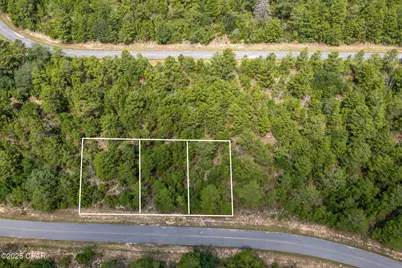 Xxx Ventura Drive, Chipley, FL 32428 - Photo 2