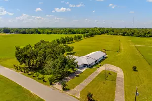 6454 Hartsfield Rd, Greenwood, FL 32443 - Photo 50