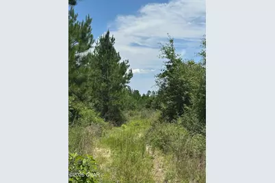 000 NW Camp Head Road, Altha, FL 32421 - Photo 6