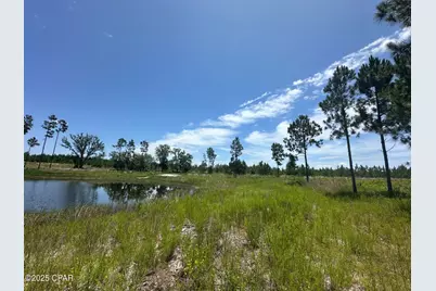 000 NW Camp Head Road, Altha, FL 32421 - Photo 12