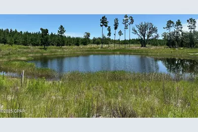 000 NW Camp Head Road, Altha, FL 32421 - Photo 1
