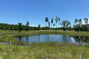 000 NW Camp Head Rd, Altha, FL 32421 - Photo 1