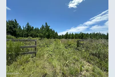 000 NW Camp Head Road, Altha, FL 32421 - Photo 2