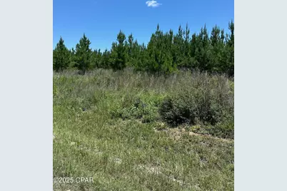 000 NW Camp Head Road, Altha, FL 32421 - Photo 4