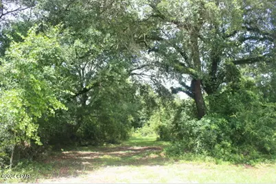 4583 Dickson Road, Greenwood, FL 32443 - Photo 16