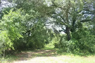 4583 Dickson Rd, Greenwood, FL 32443 - Photo 16