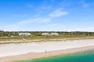 264 Sea Tern Ln, Port Saint Joe, FL 32456 - Photo 58