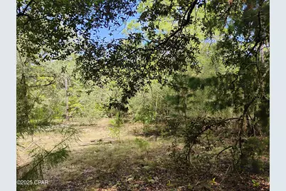 Lot 10 Challenger Boulevard, Chipley, FL 32428 - Photo 2