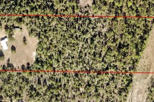 20512 Dickerson Rd, Fountain, FL 32438 - Photo 2