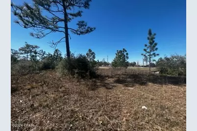 00 NW Cr-274, Altha, FL 32421 - Photo 16