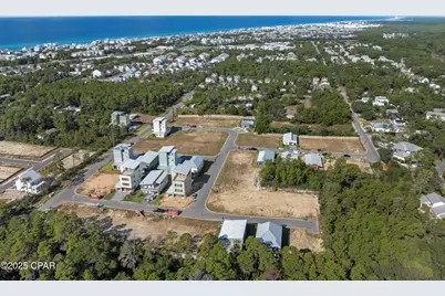 32 Asher Street #Lot 36, Inlet Beach, FL 32461 - Photo 48