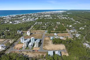 Tbd Asher St, Inlet Beach, FL 32461 - Photo 50