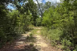 248 Ball Park Rd, Alford, FL 32420 - Photo 42