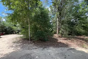 248 Ball Park Rd, Alford, FL 32420 - Photo 44