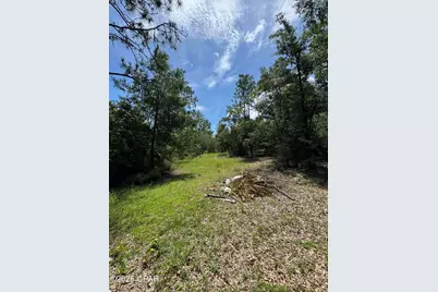 248 Ball Park Road, Alford, FL 32420 - Photo 46