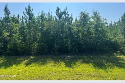 0 SE Nadine Stone Landing Road, Kinard, FL 32449 - Photo 2