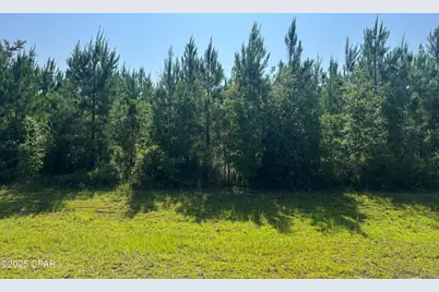 0 SE Nadine Stone Landing Road, Kinard, FL 32449 - Photo 1