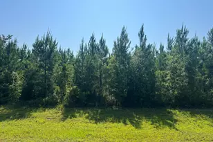 0 SE Nadine Stone Landing Rd, Kinard, FL 32449 - Photo 1