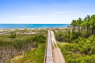 225 Cord Grass Way, Port Saint Joe, FL 32456 - Photo 48