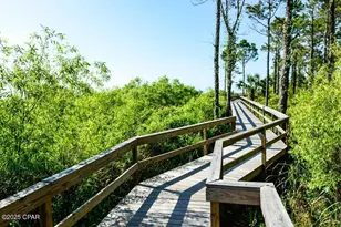 225 Cord Grass Way, Port Saint Joe, FL 32456 - Photo 52