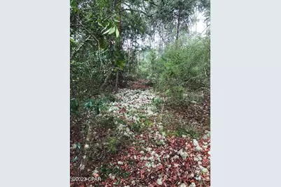 000 Sunrise Way, Panama City, FL 32409 - Photo 4