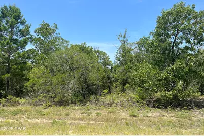 0 Sylvia Drive, Chipley, FL 32428 - Photo 1