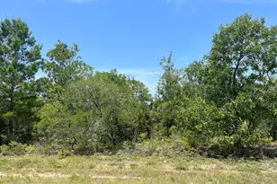 0 Sylvia Dr, Chipley, FL 32428 - Photo 1