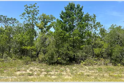 0 Sylvia Drive, Chipley, FL 32428 - Photo 2