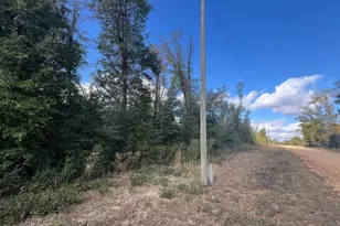 0 Kokomo Ave, Alford, FL 32420 - Photo 1