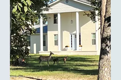 2666 Indian Springs Road, Marianna, FL 32446 - Photo 2