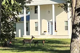 2666 Indian Springs Rd, Marianna, FL 32446 - Photo 2