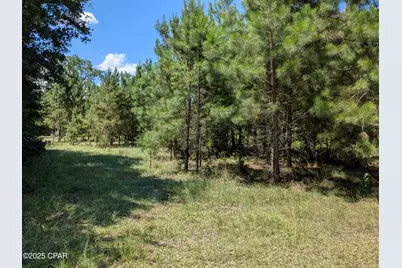 0 Carters Mill Road, Marianna, FL 32446 - Photo 1