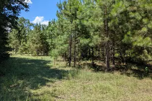 0 Carters Mill Rd, Marianna, FL 32446 - Photo 1