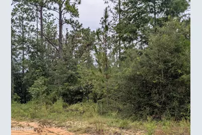 0 Castle Cr Circle, Alford, FL 32420 - Photo 6